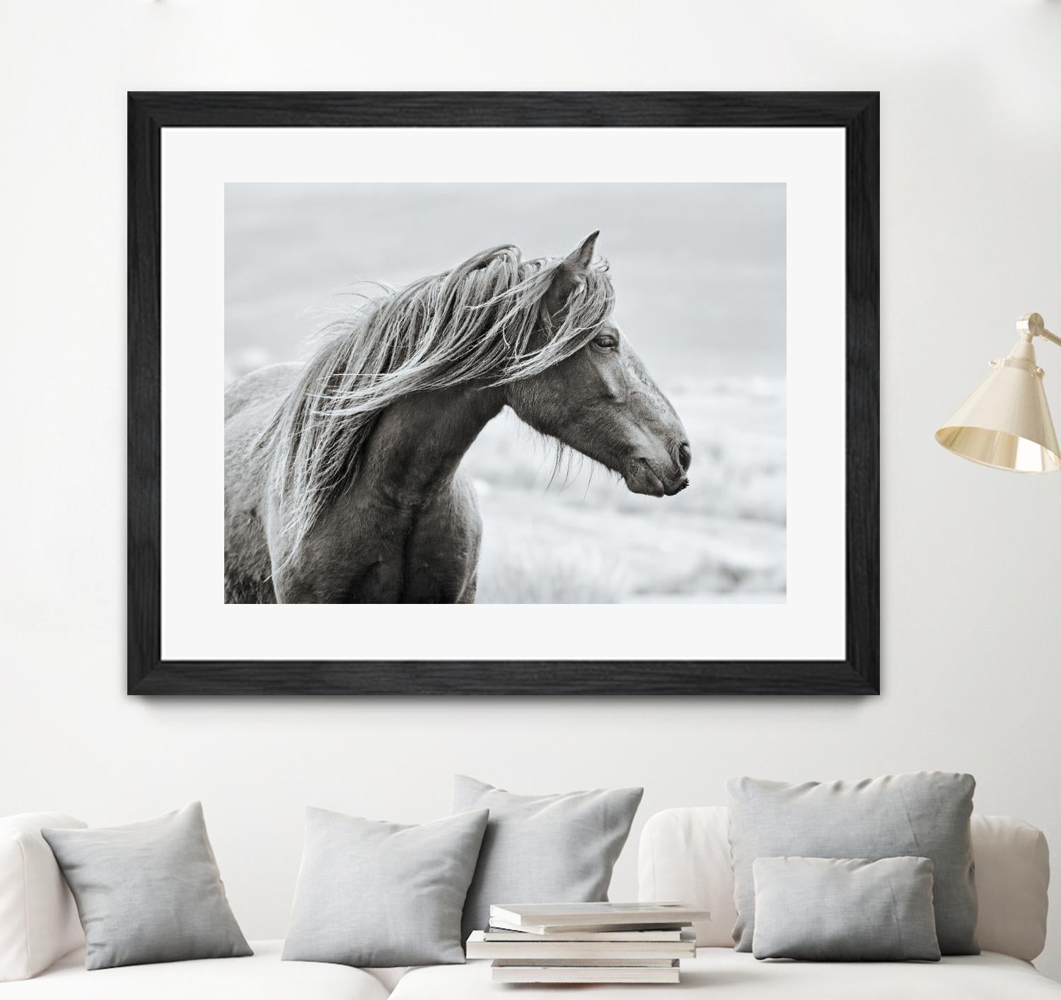 The Fell by Esther Marie on GIANT ART - white animals horse