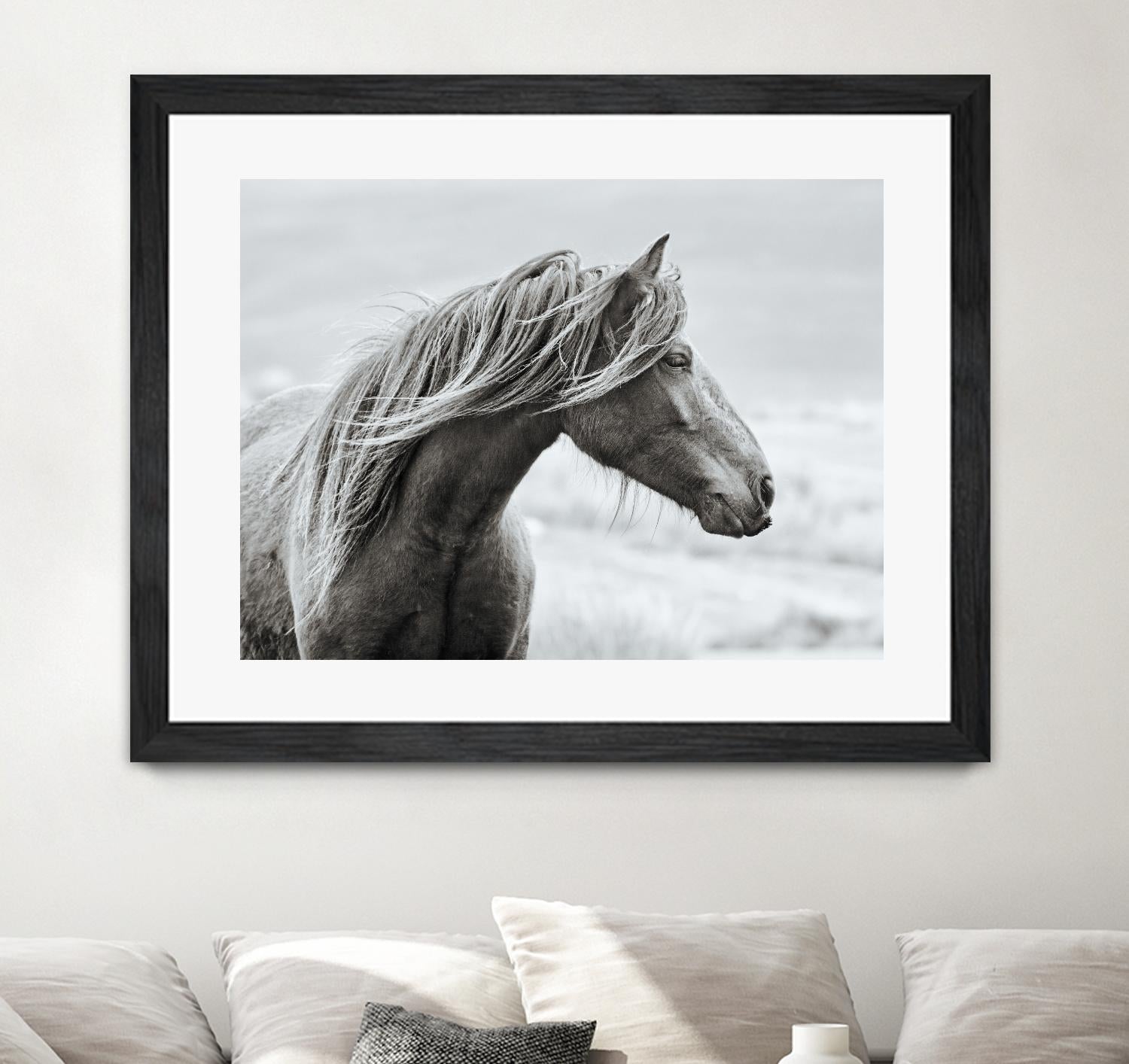 The Fell by Esther Marie on GIANT ART - white animals horse