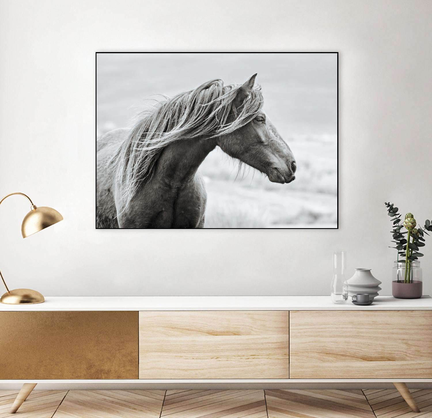 The Fell by Esther Marie on GIANT ART - white animals horse