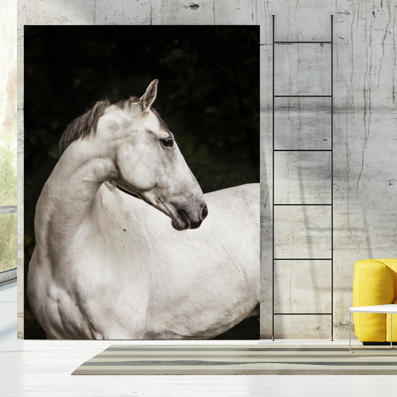 Elegant by Esther Marie on GIANT ART - white black & white horse