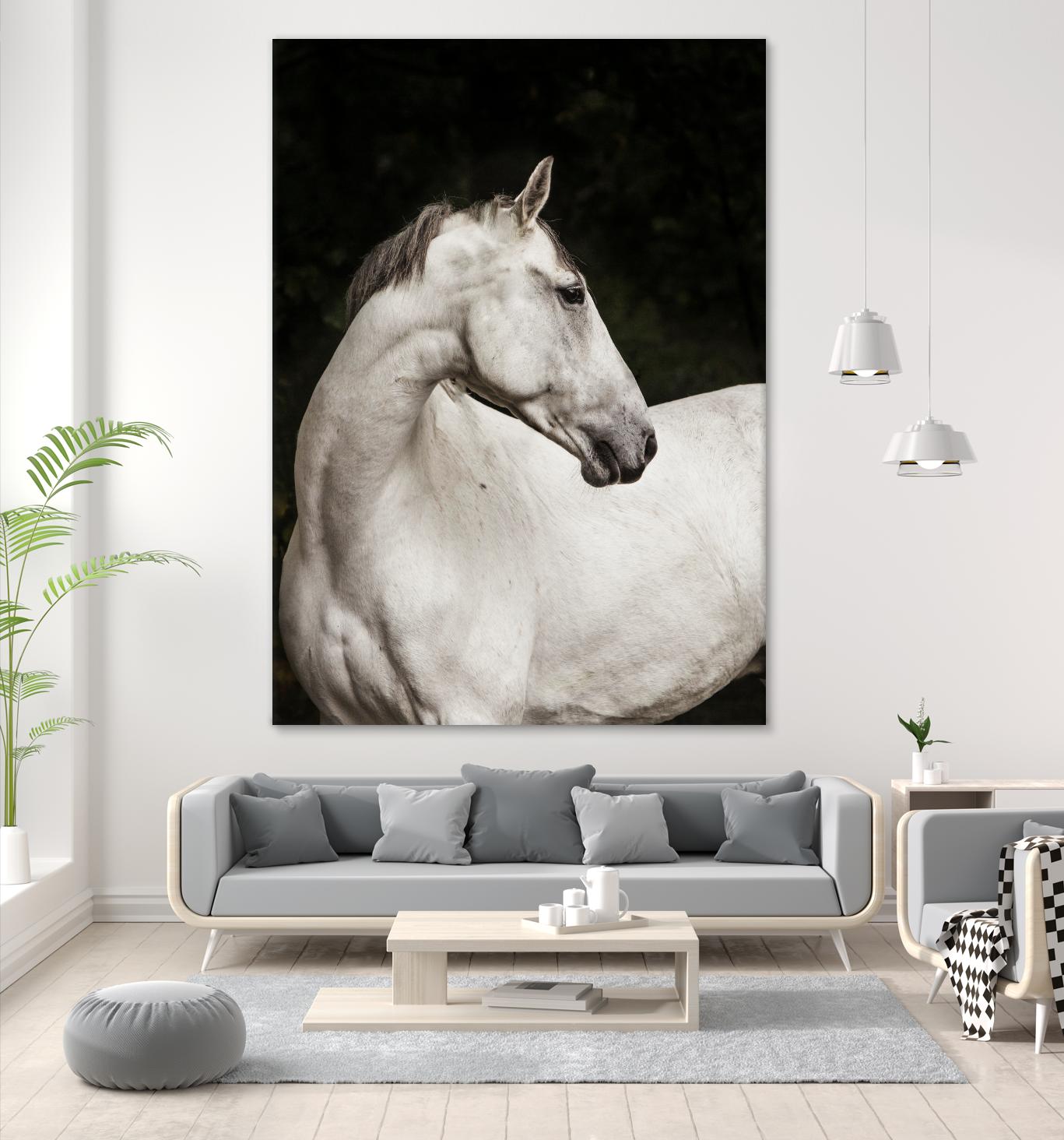 Elegant by Esther Marie on GIANT ART - white black & white horse