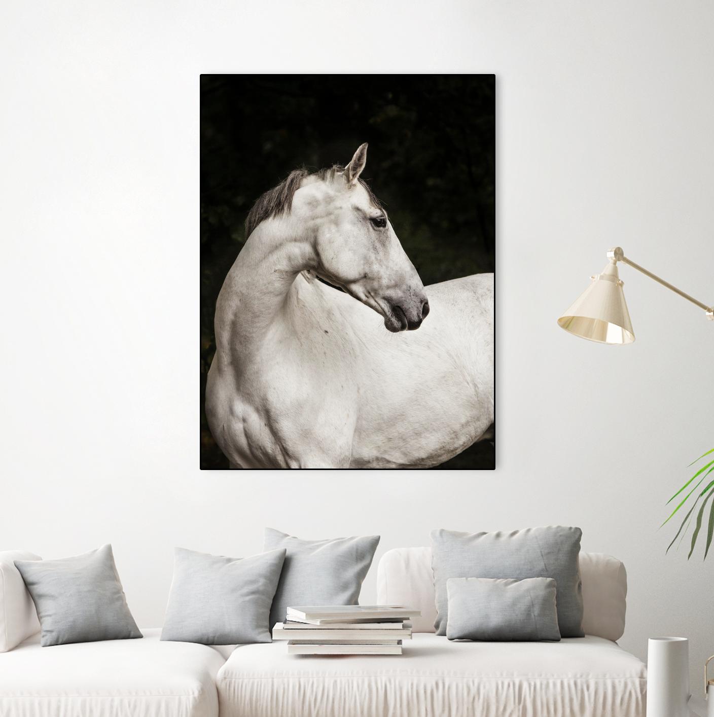 Elegant by Esther Marie on GIANT ART - white black & white horse