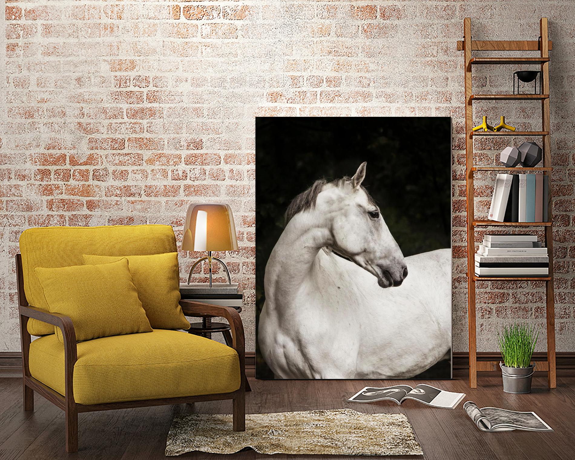 Elegant by Esther Marie on GIANT ART - white black & white horse