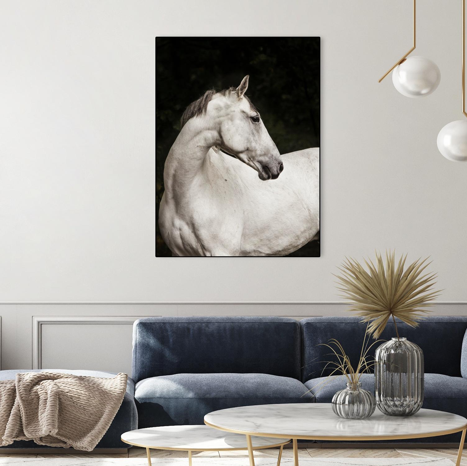 Elegant by Esther Marie on GIANT ART - white black & white horse