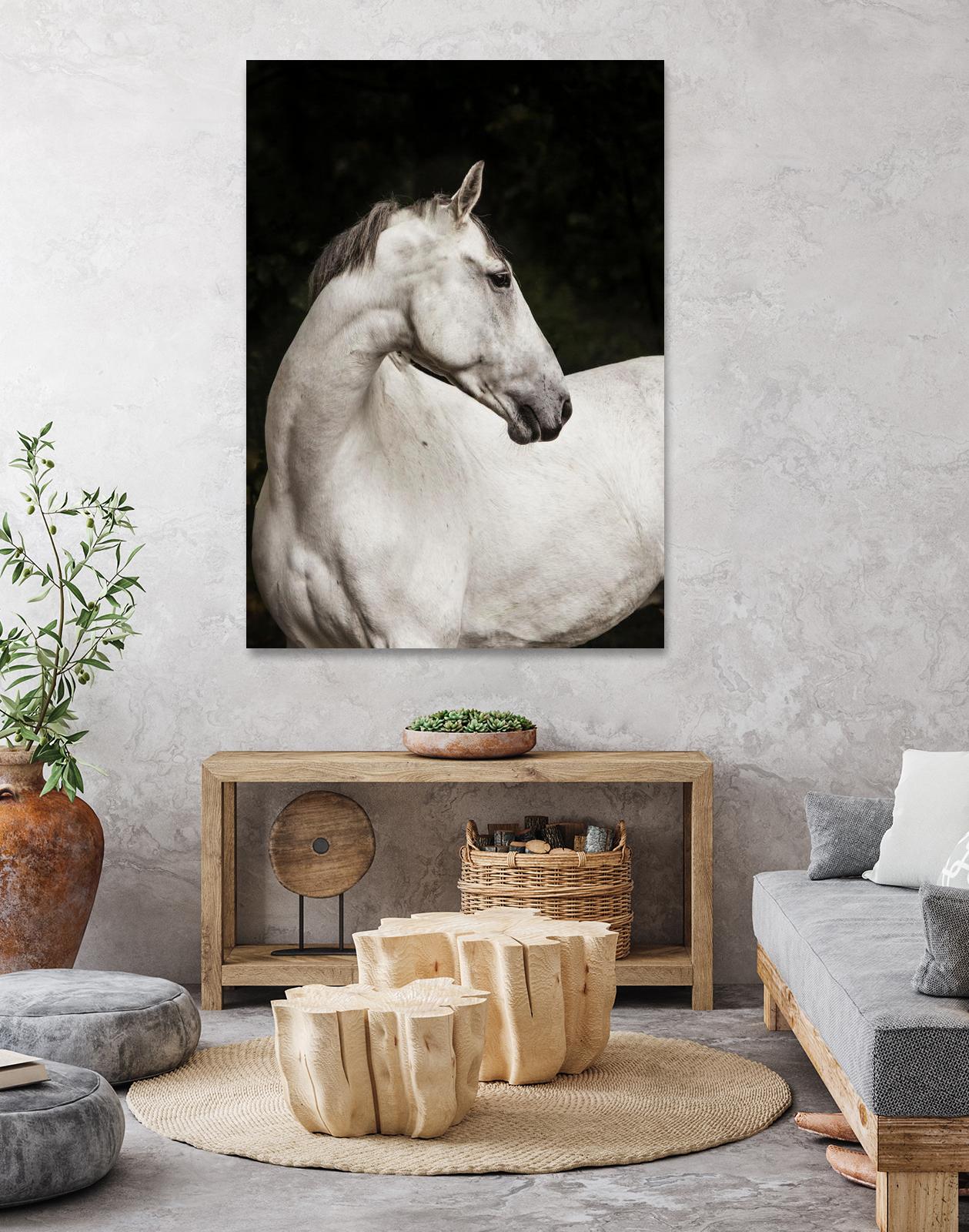 Elegant by Esther Marie on GIANT ART - white black & white horse