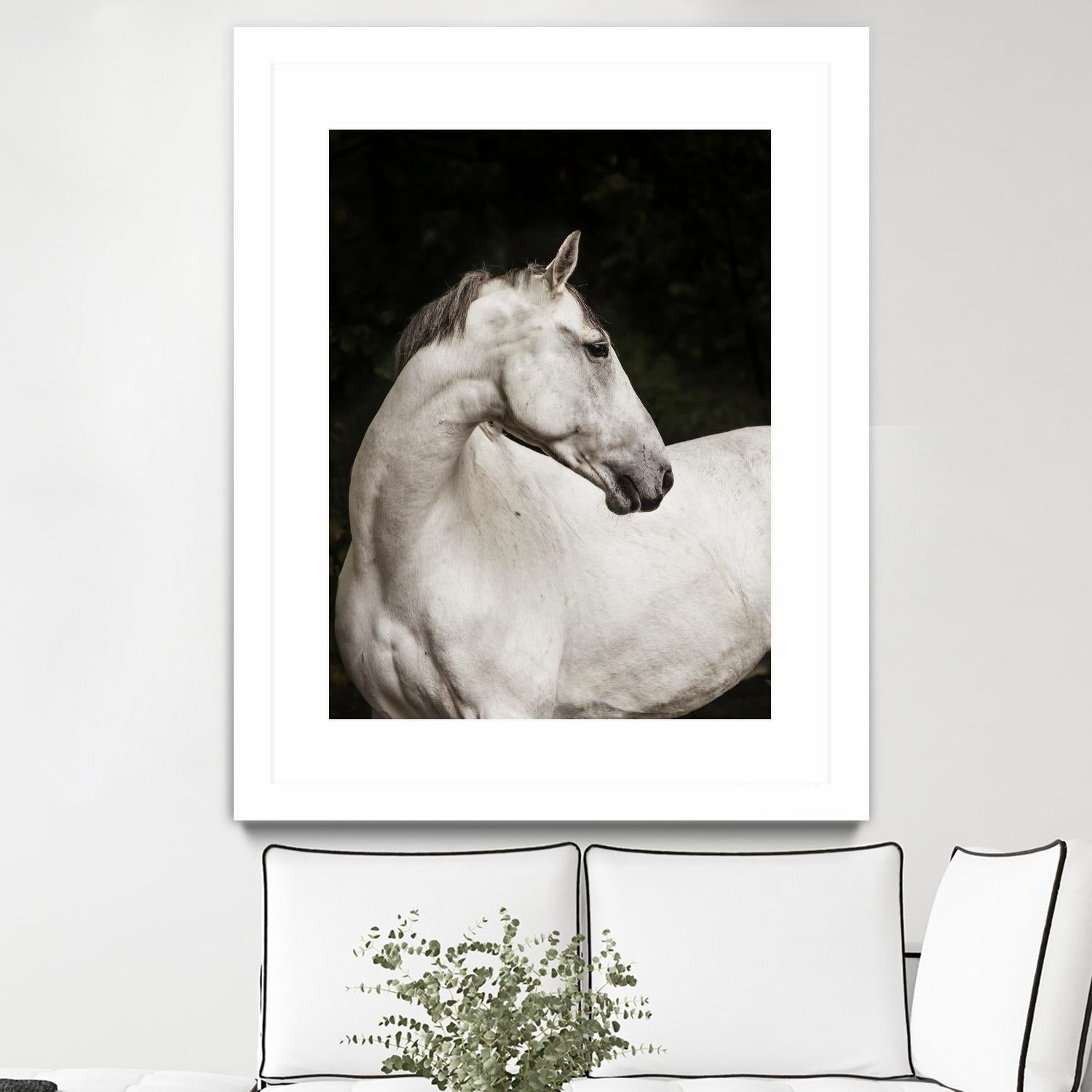 Elegant by Esther Marie on GIANT ART - white black & white horse