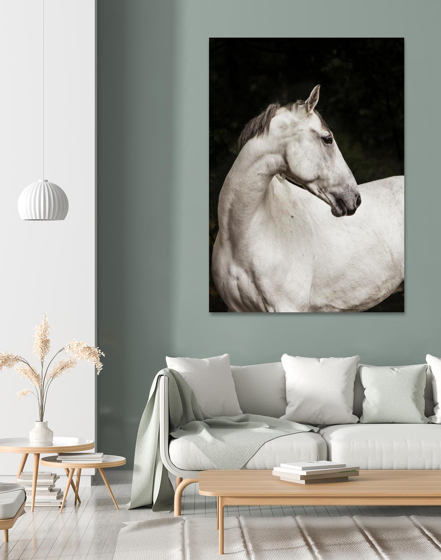 Elegant by Esther Marie on GIANT ART - white black & white horse