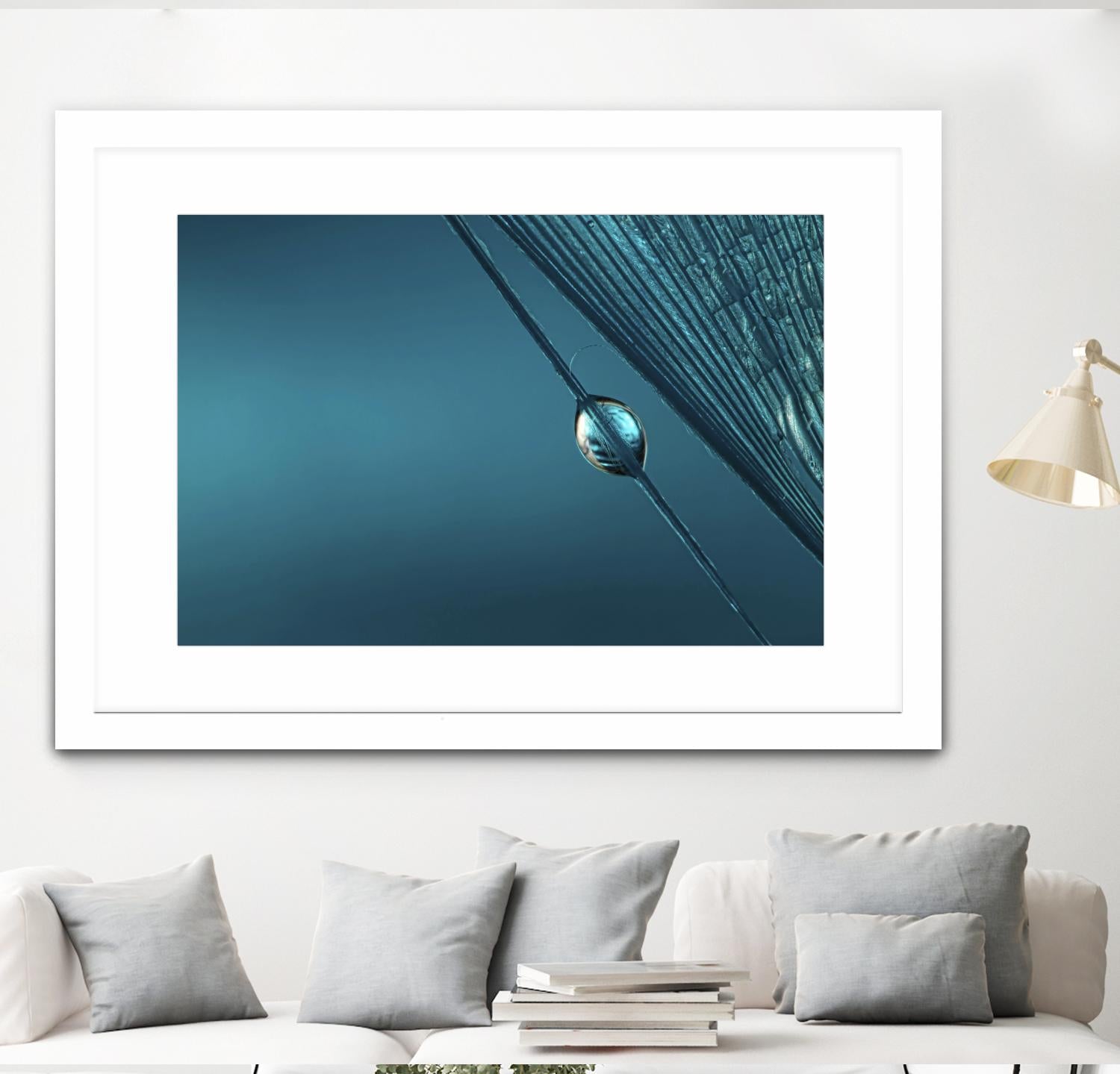 Blue by Sharon Johnstone on GIANT ART - blue photo art