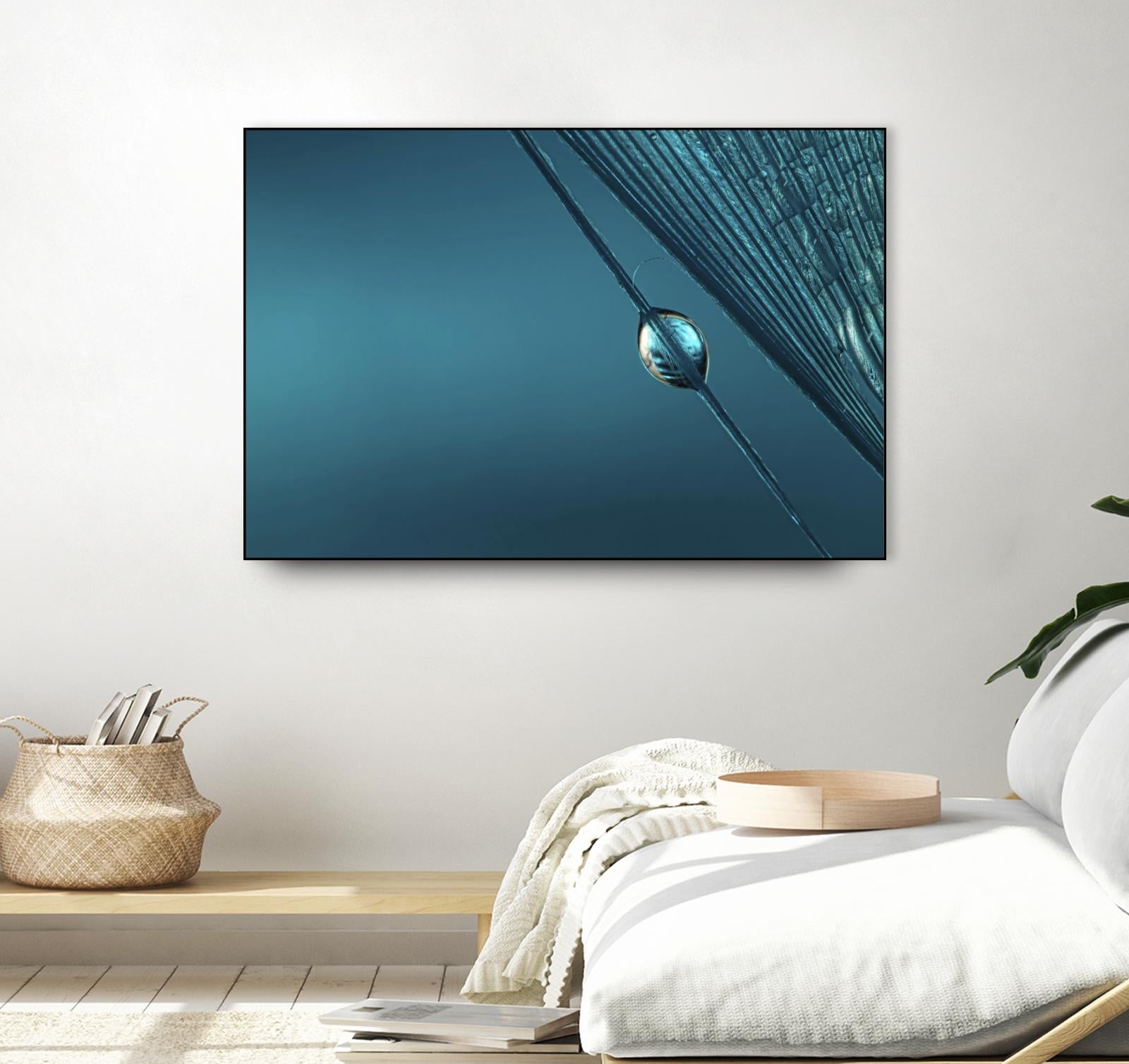 Blue by Sharon Johnstone on GIANT ART - blue photo art