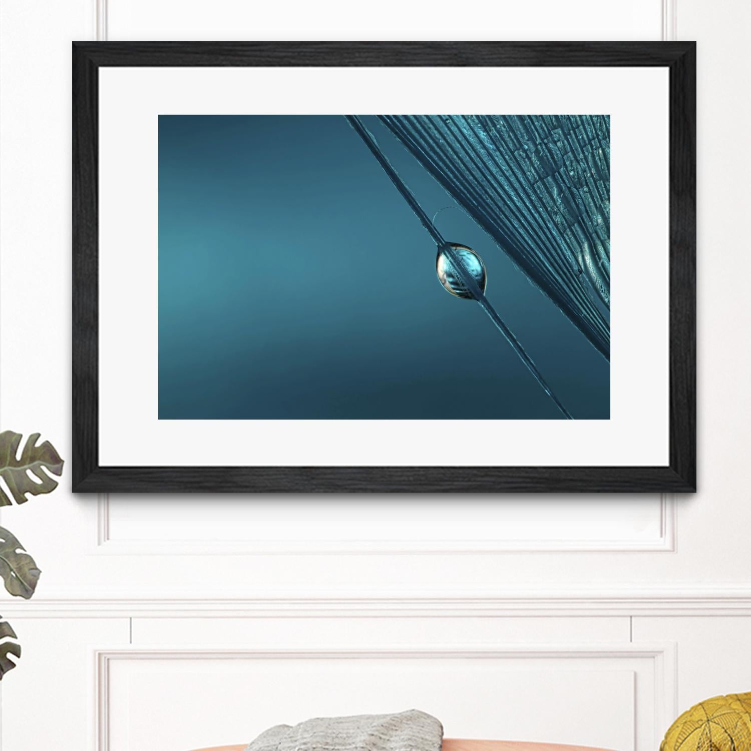 Blue by Sharon Johnstone on GIANT ART - blue photo art