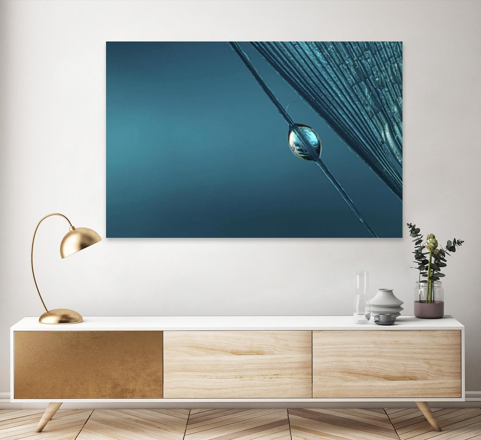 Blue by Sharon Johnstone on GIANT ART - blue photo art