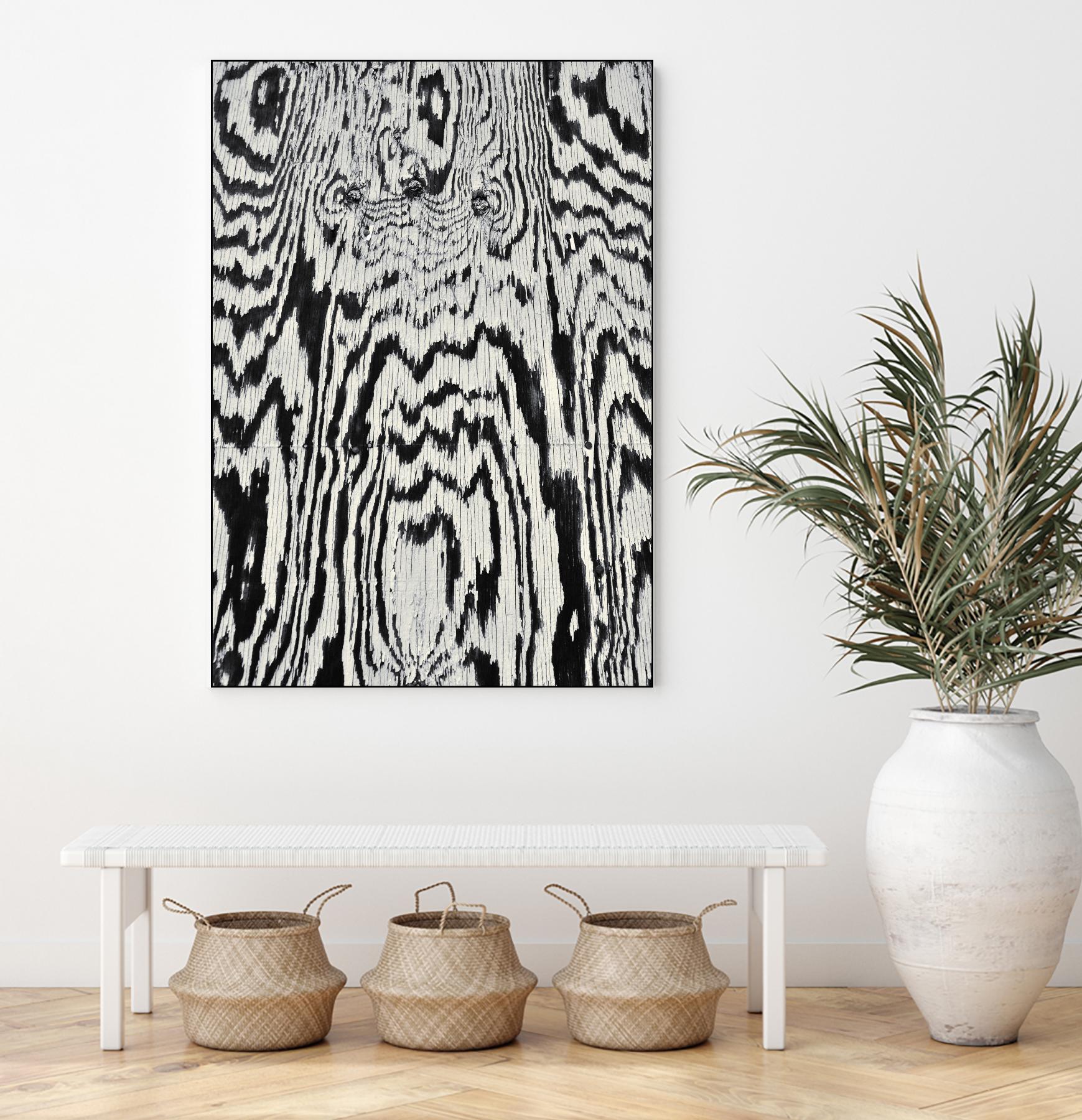 Zebra by Caleb Troy on GIANT ART - white abstract