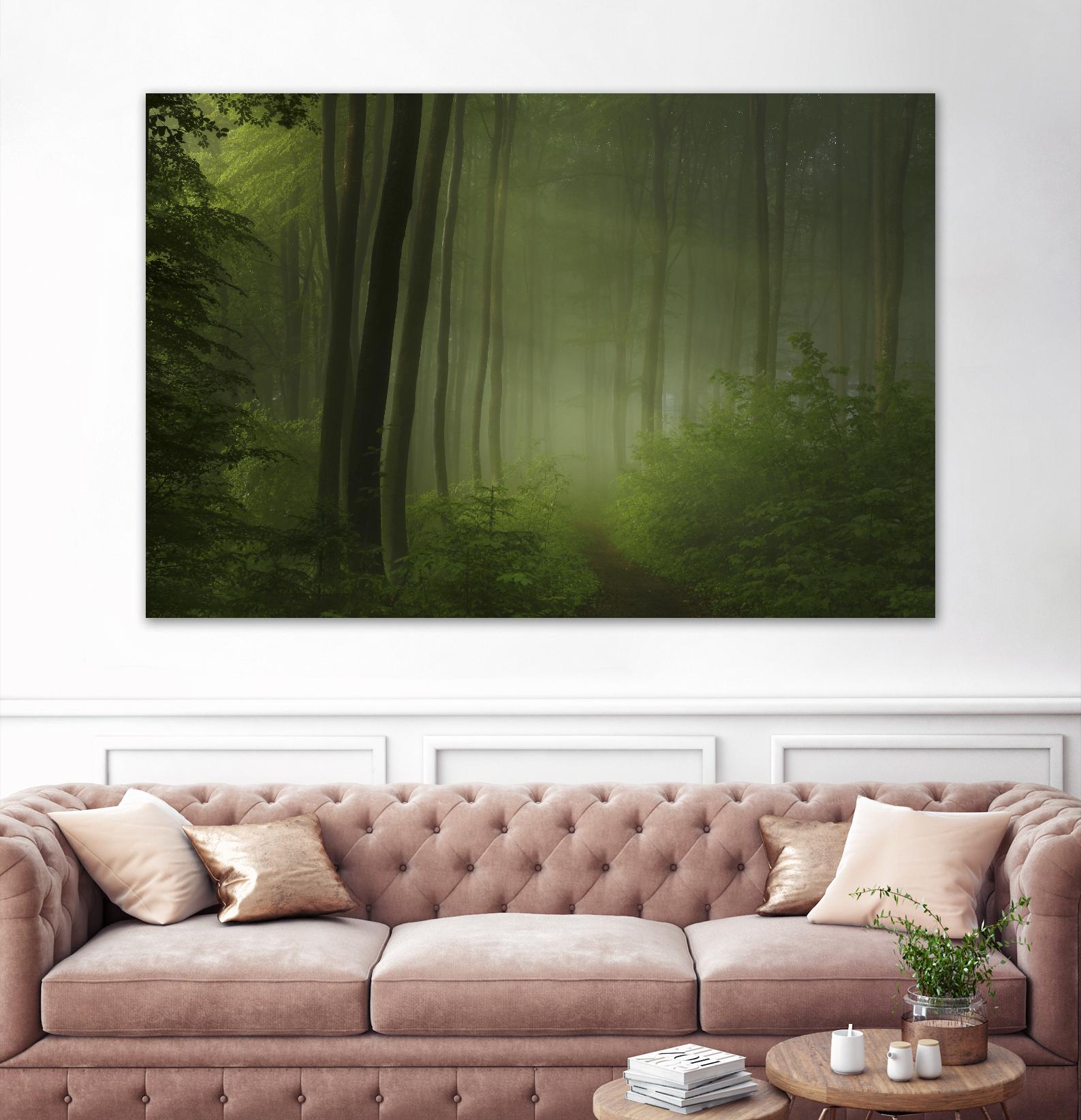 Maier - Forest Morning by 1X on GIANT ART - black trees
