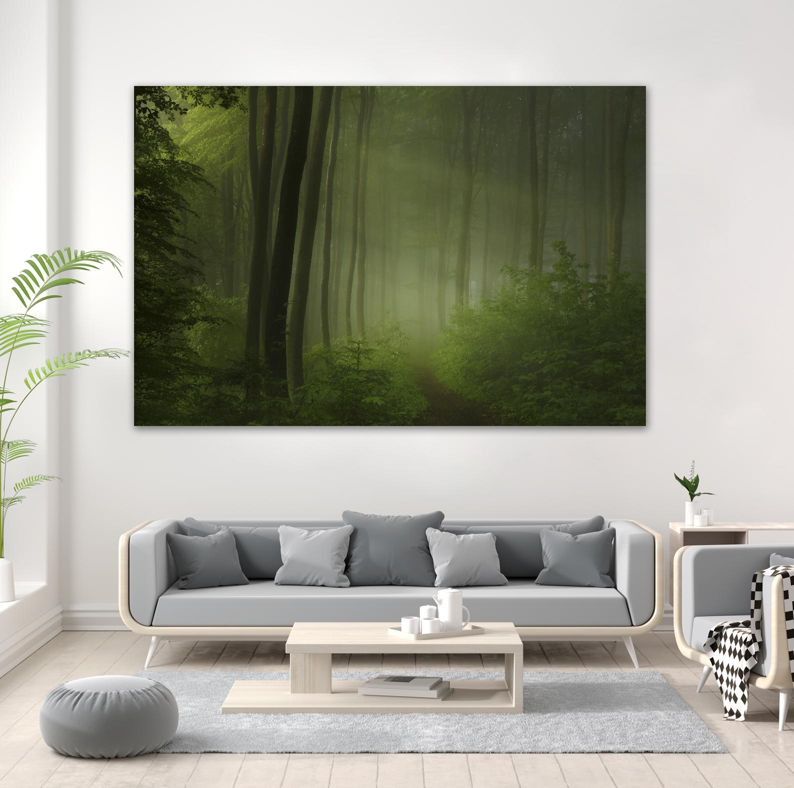 Maier - Forest Morning by 1X on GIANT ART - black trees