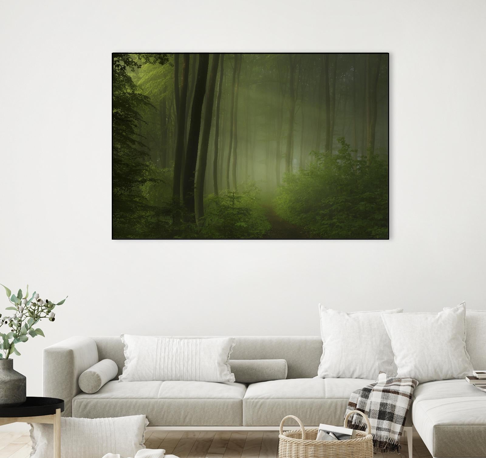 Maier - Forest Morning by 1X on GIANT ART - black trees