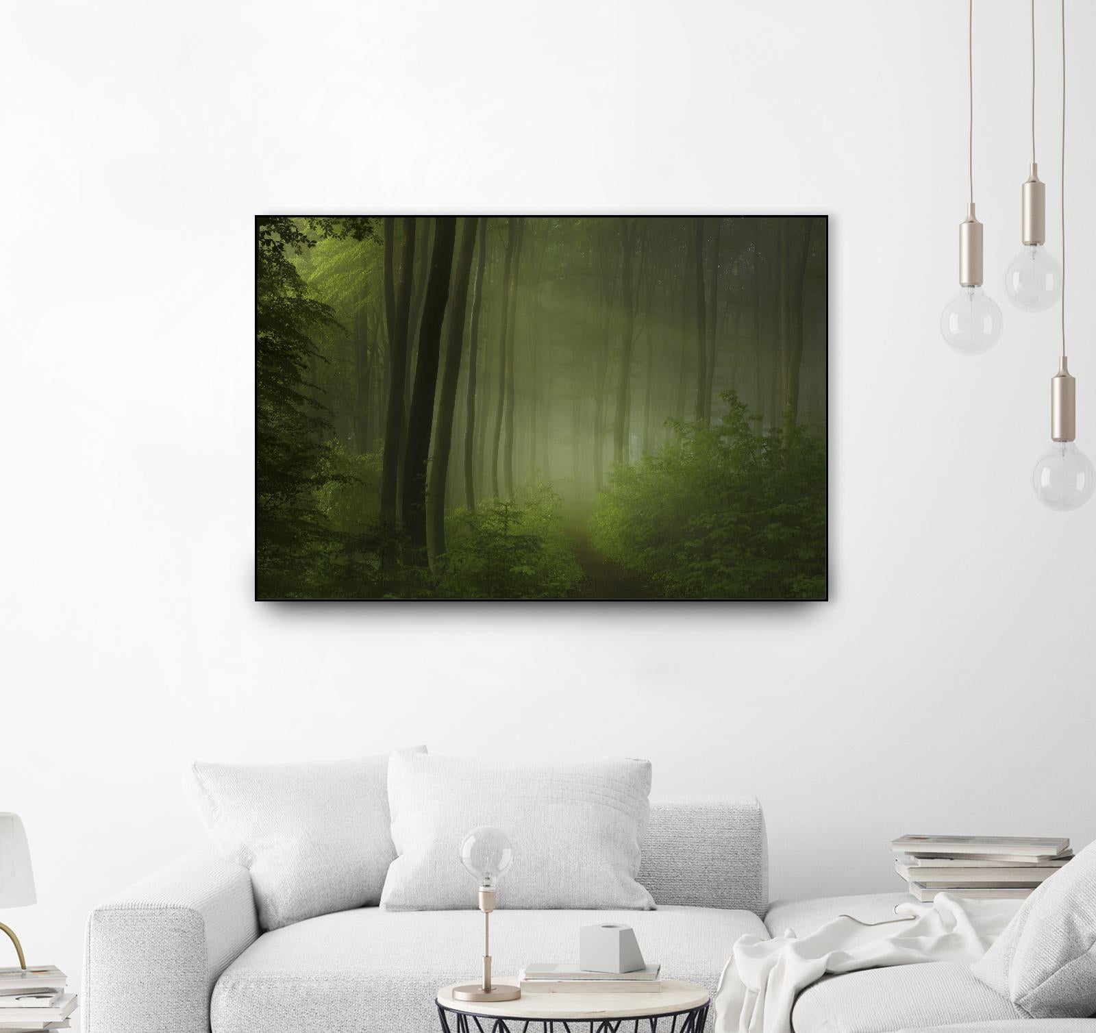 Maier - Forest Morning by 1X on GIANT ART - black trees