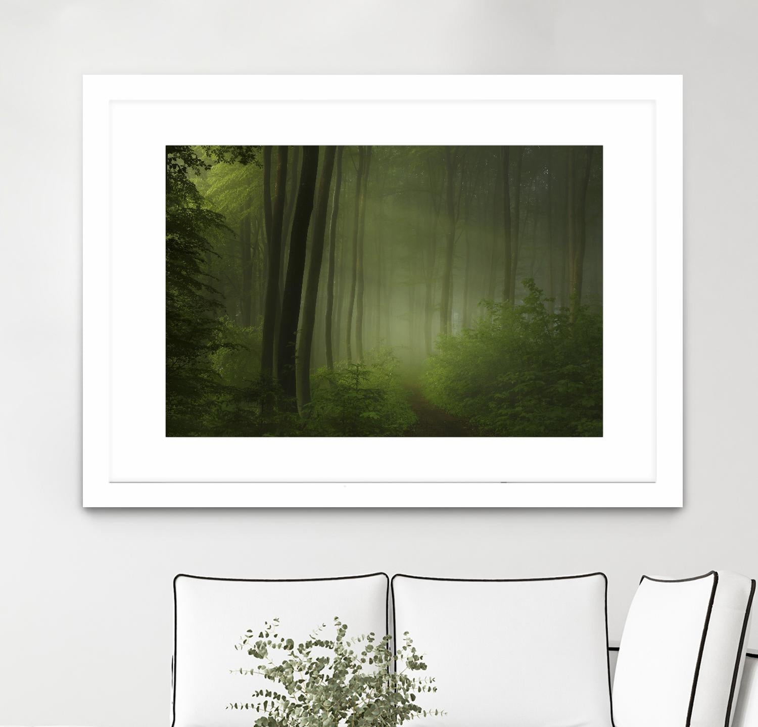 Maier - Forest Morning by 1X on GIANT ART - black trees