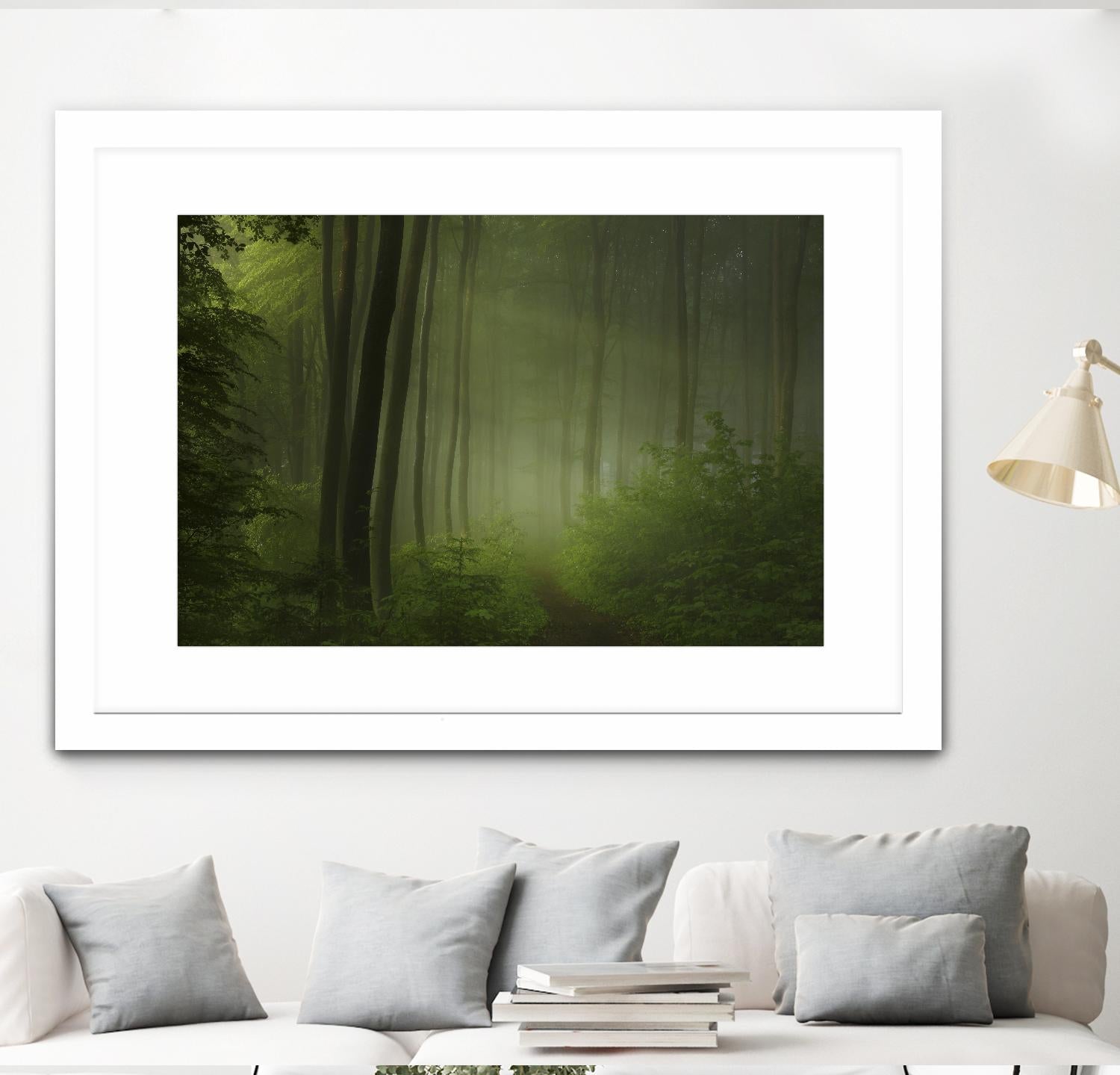 Maier - Forest Morning by 1X on GIANT ART - black trees
