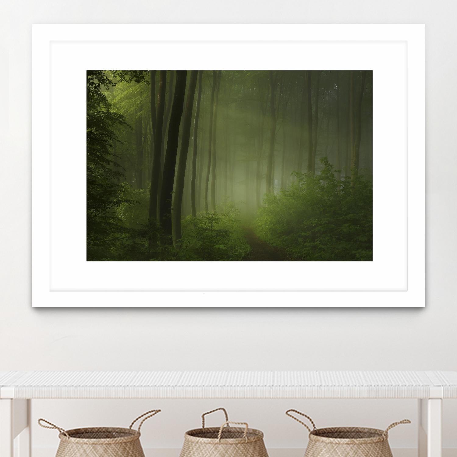 Maier - Forest Morning by 1X on GIANT ART - black trees