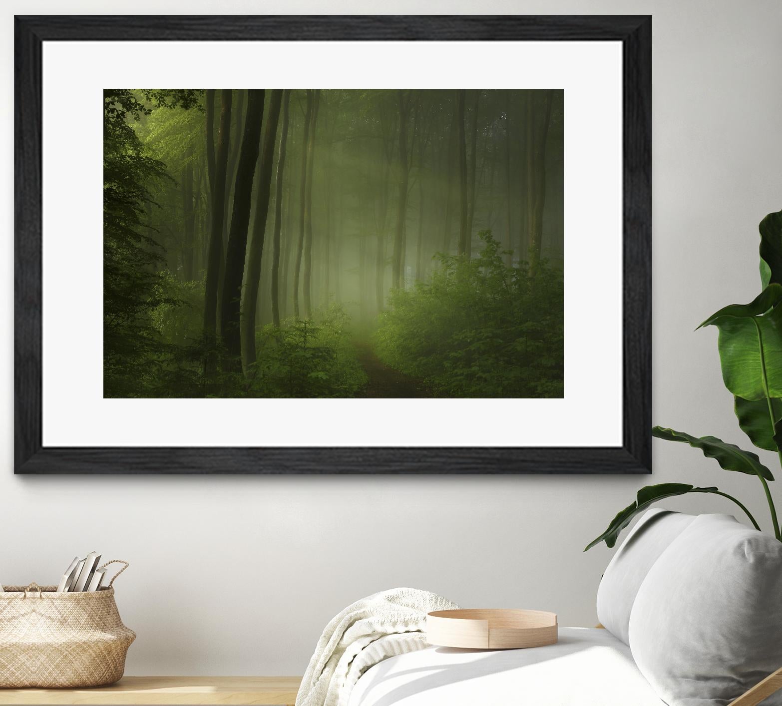 Maier - Forest Morning by 1X on GIANT ART - black trees