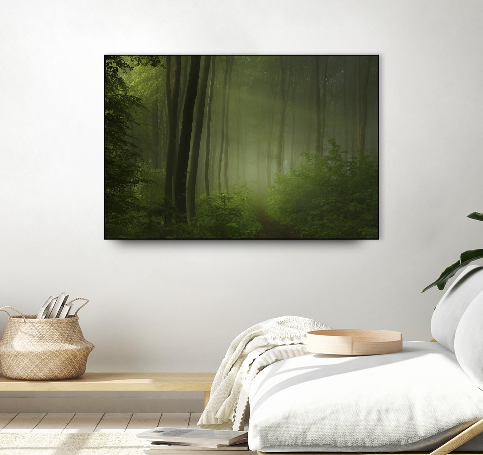 Maier - Forest Morning by 1X on GIANT ART - black trees