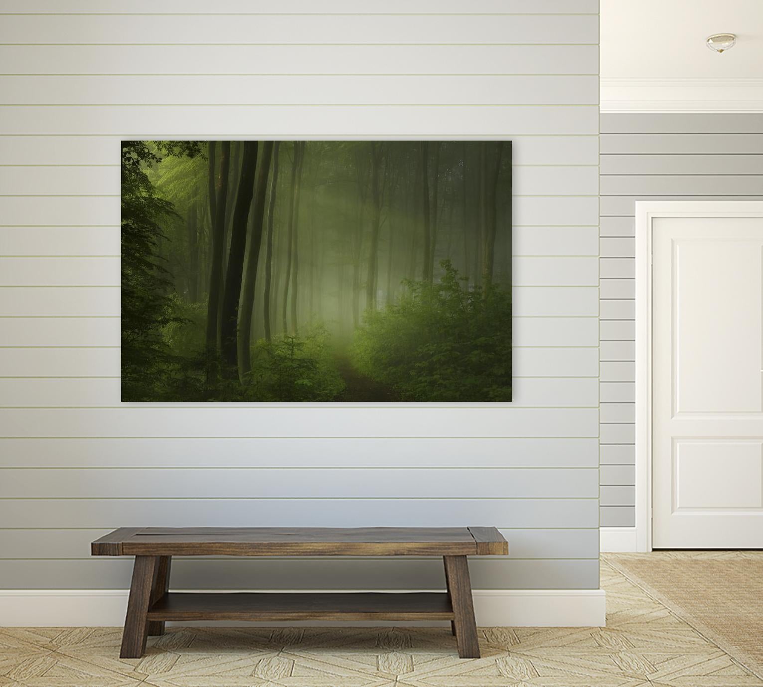 Maier - Forest Morning by 1X on GIANT ART - black trees