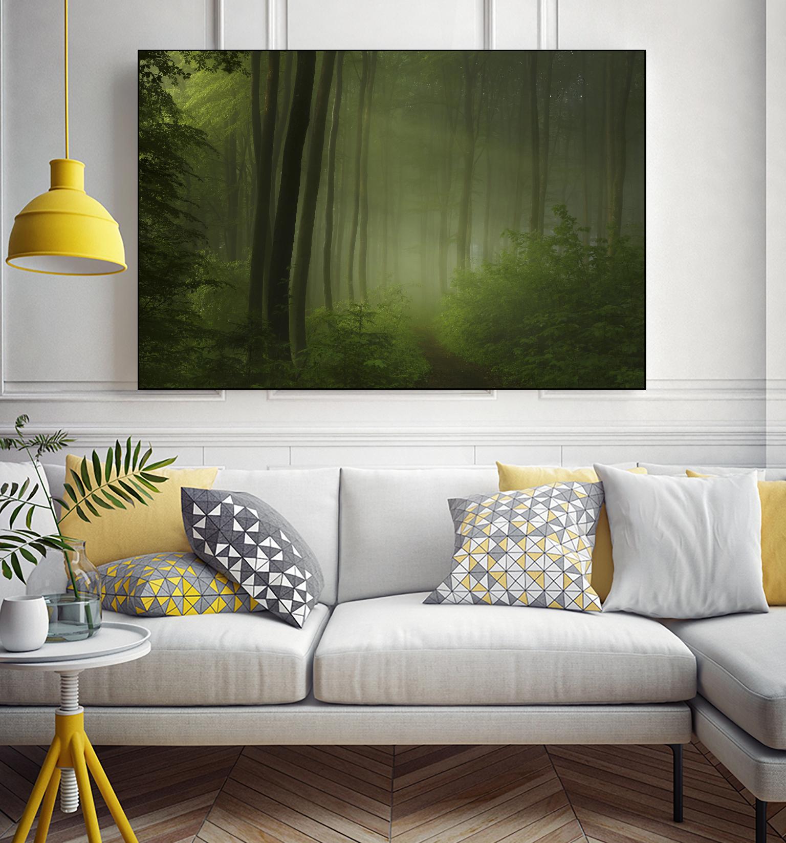 Maier - Forest Morning by 1X on GIANT ART - black trees