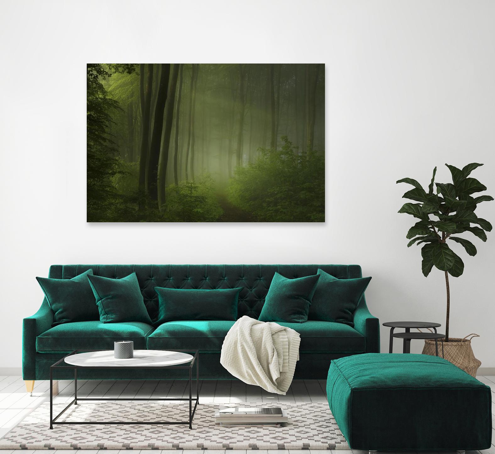 Maier - Forest Morning by 1X on GIANT ART - black trees