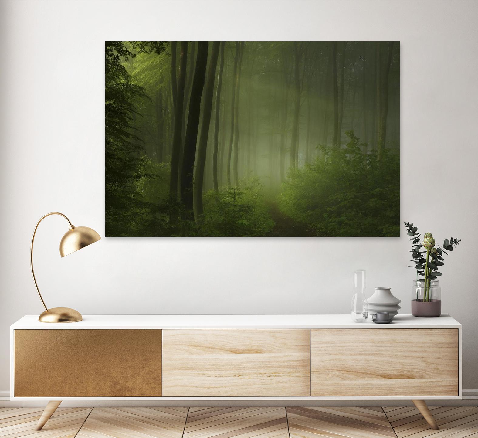 Maier - Forest Morning by 1X on GIANT ART - black trees