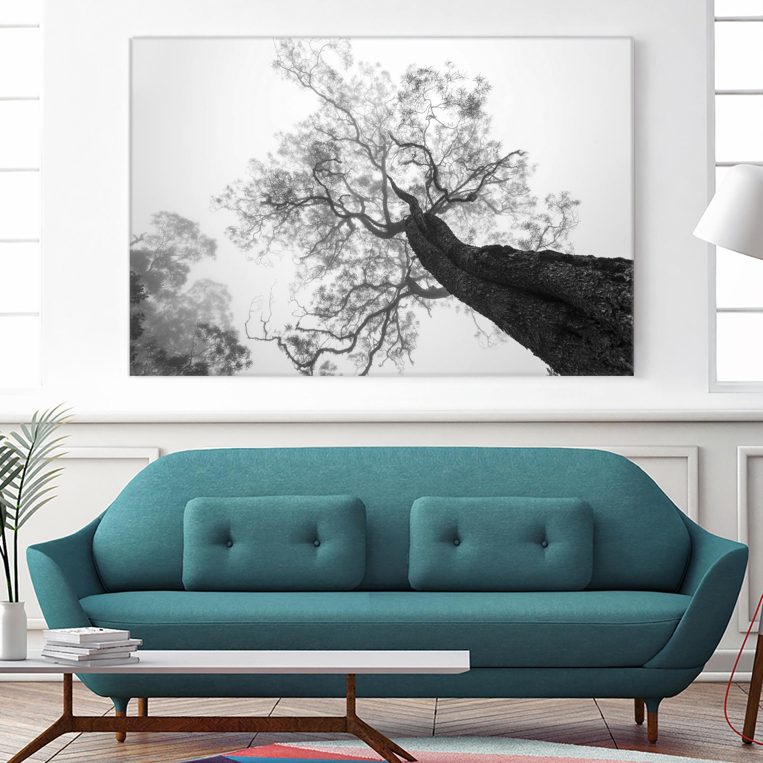 Wrobel - Between Heaven and Earth by 1X on GIANT ART - black trees