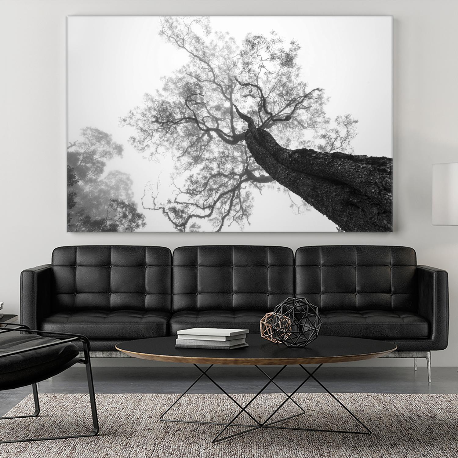 Wrobel - Between Heaven and Earth by 1X on GIANT ART - black trees