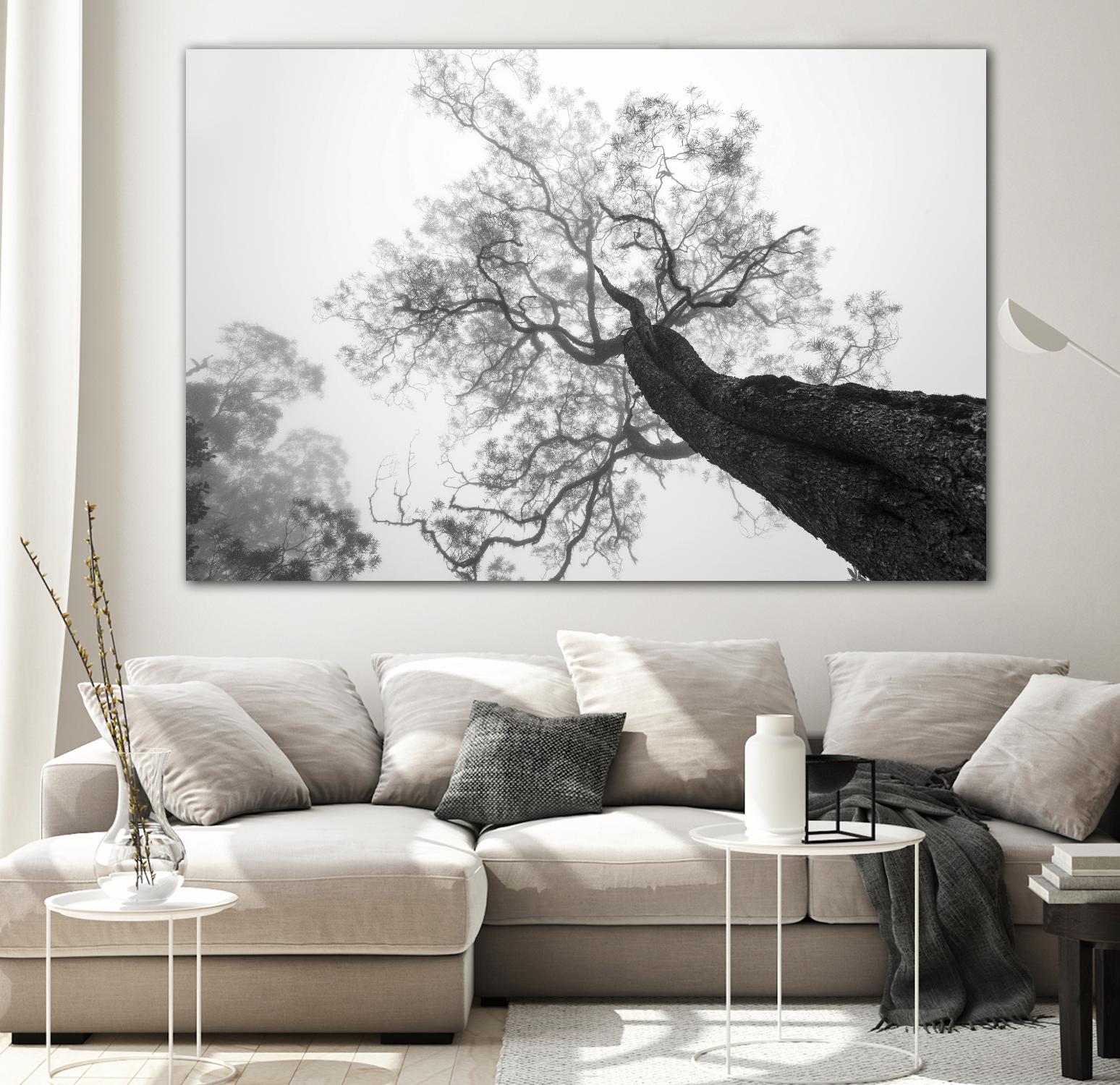 Wrobel - Between Heaven and Earth by 1X on GIANT ART - black trees