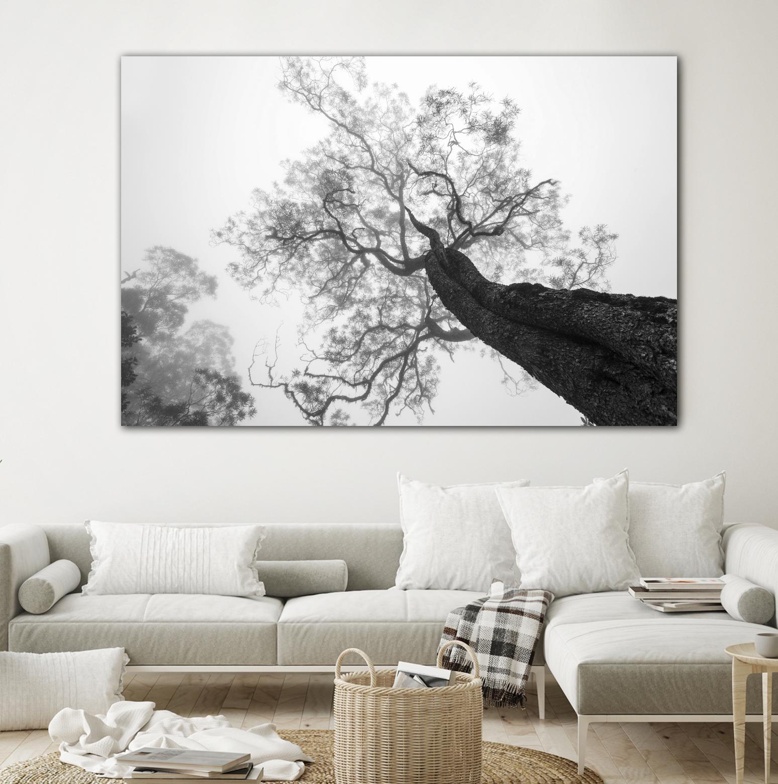 Wrobel - Between Heaven and Earth by 1X on GIANT ART - black trees