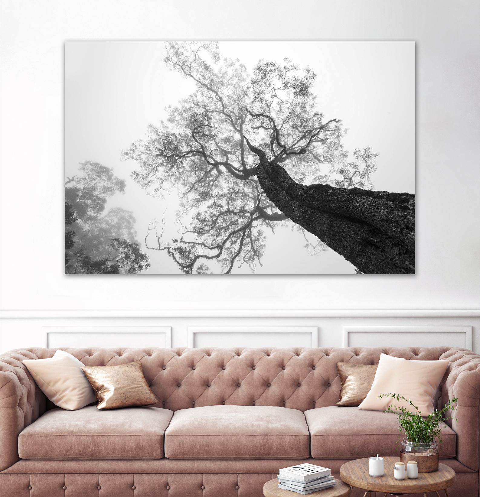 Wrobel - Between Heaven and Earth by 1X on GIANT ART - black trees