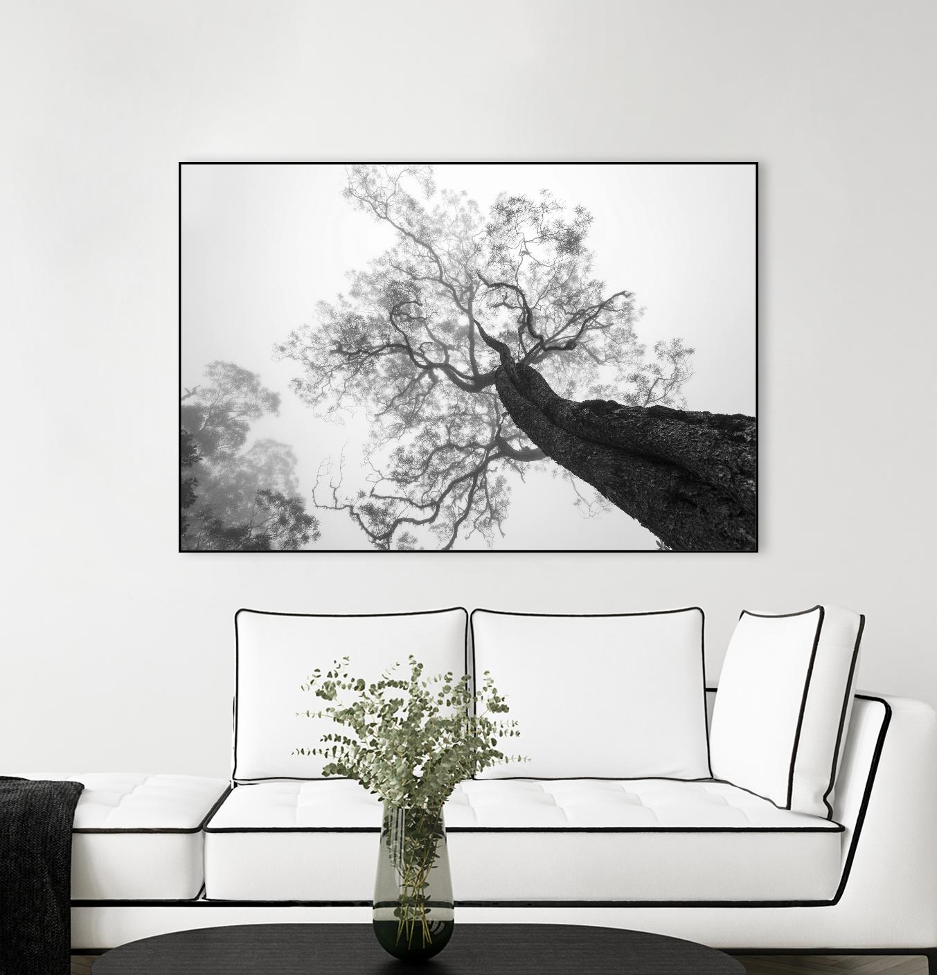 Wrobel - Between Heaven and Earth by 1X on GIANT ART - black trees