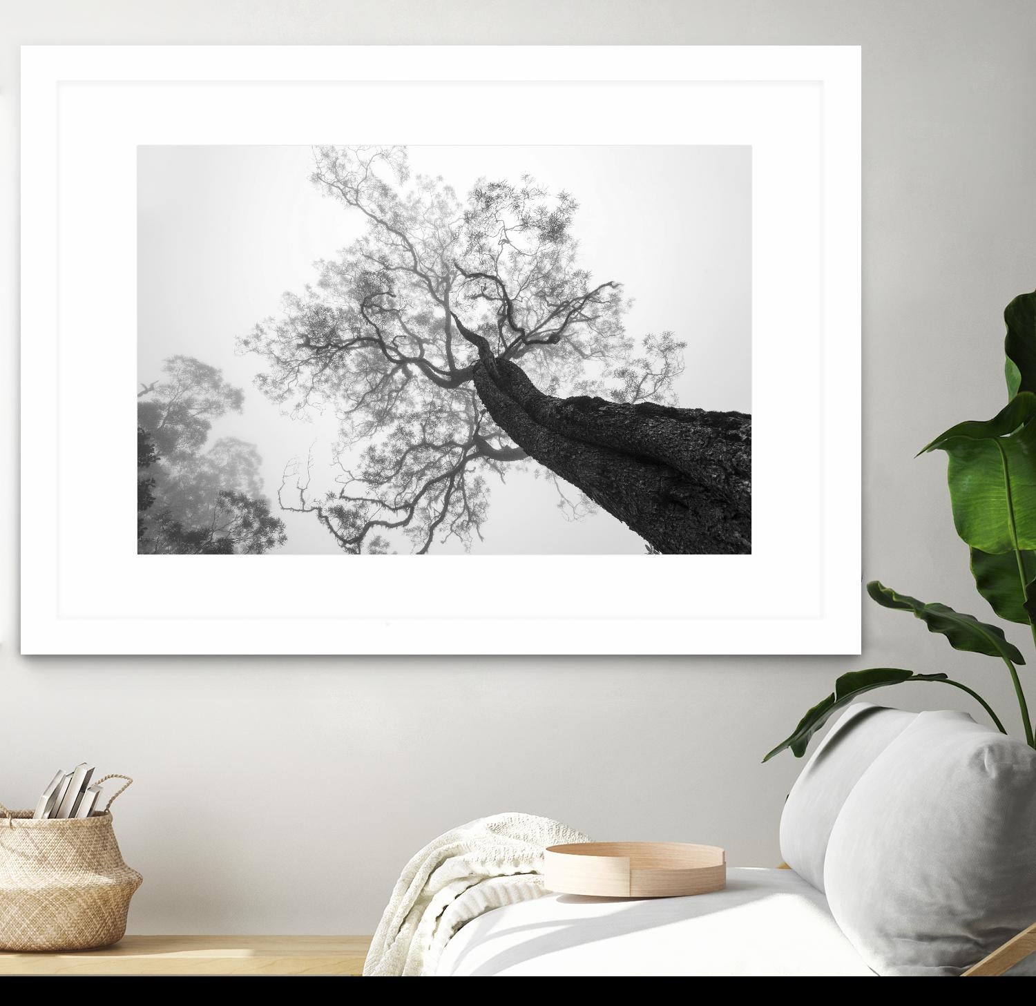 Wrobel - Between Heaven and Earth by 1X on GIANT ART - black trees