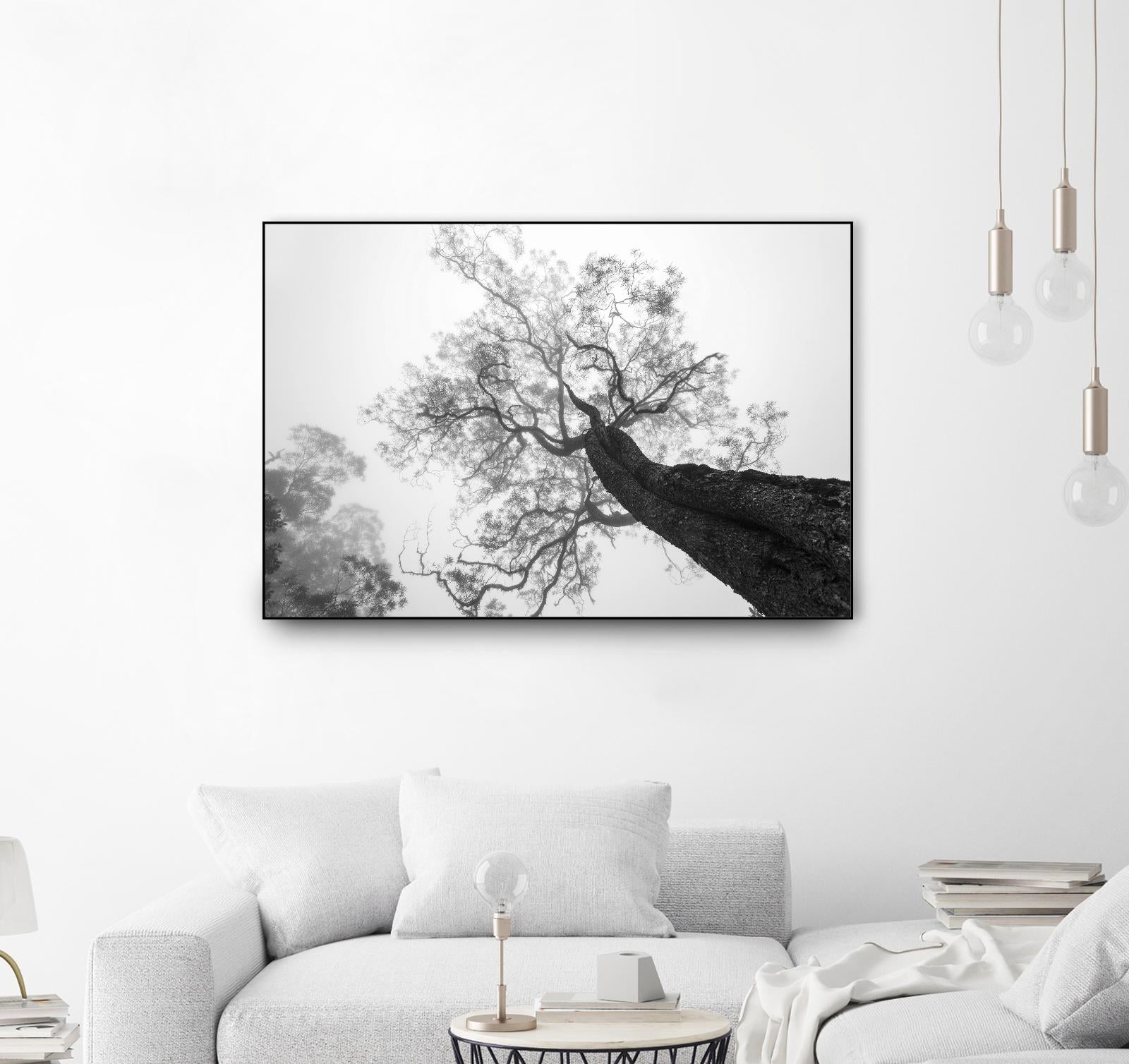 Wrobel - Between Heaven and Earth by 1X on GIANT ART - black trees