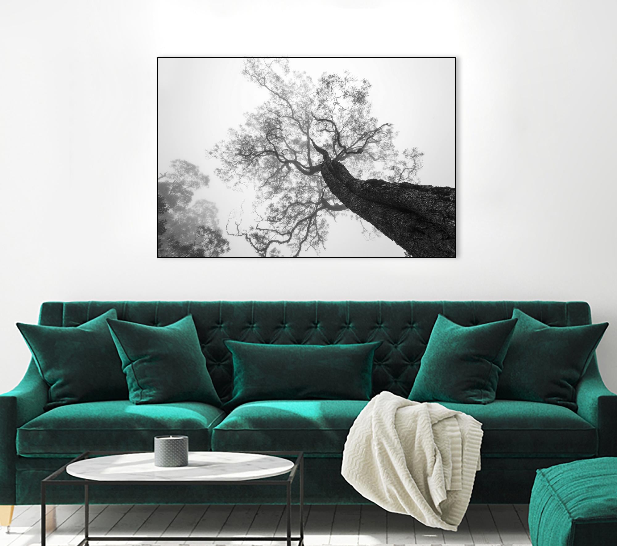 Wrobel - Between Heaven and Earth by 1X on GIANT ART - black trees