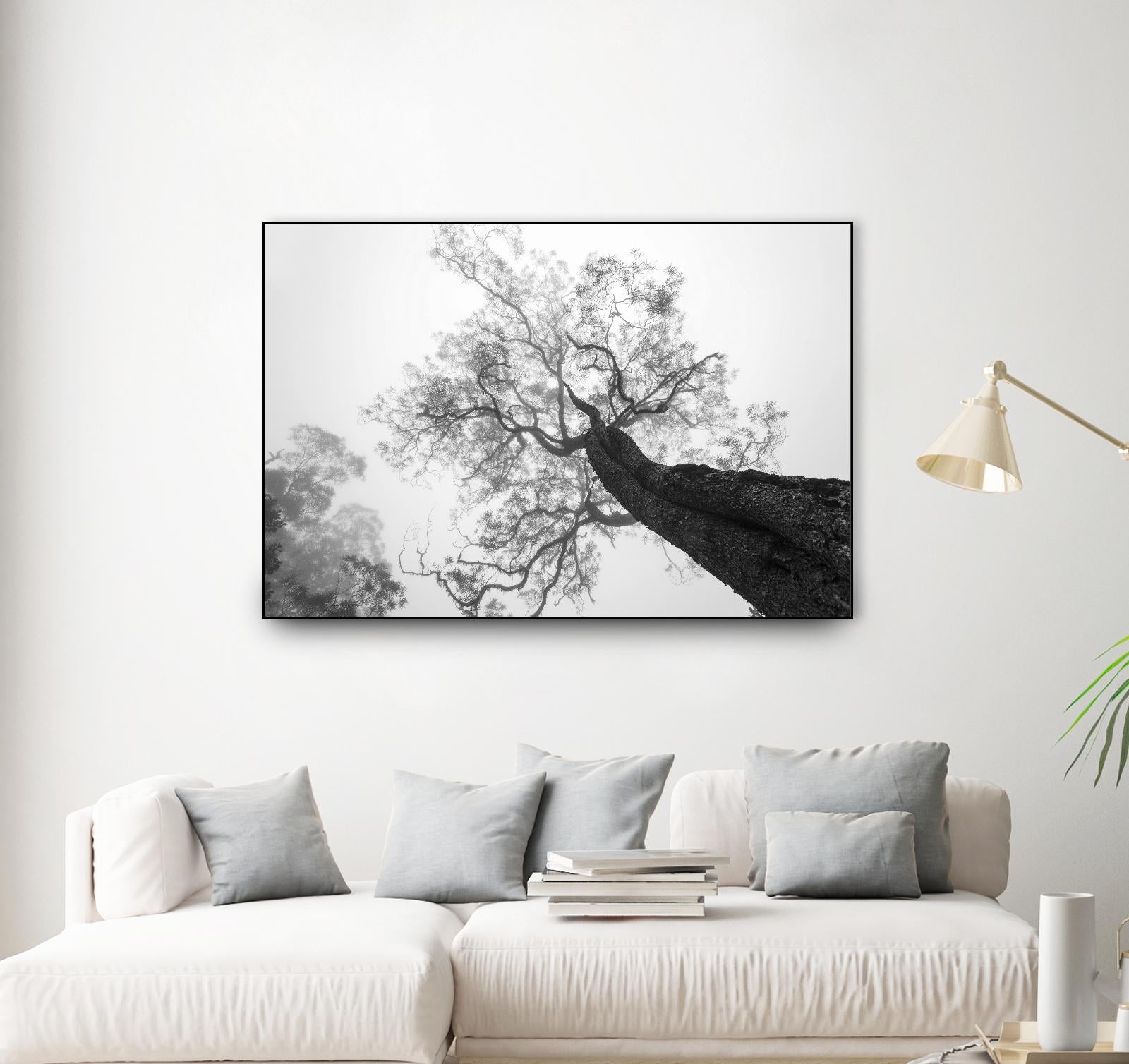 Wrobel - Between Heaven and Earth by 1X on GIANT ART - black trees