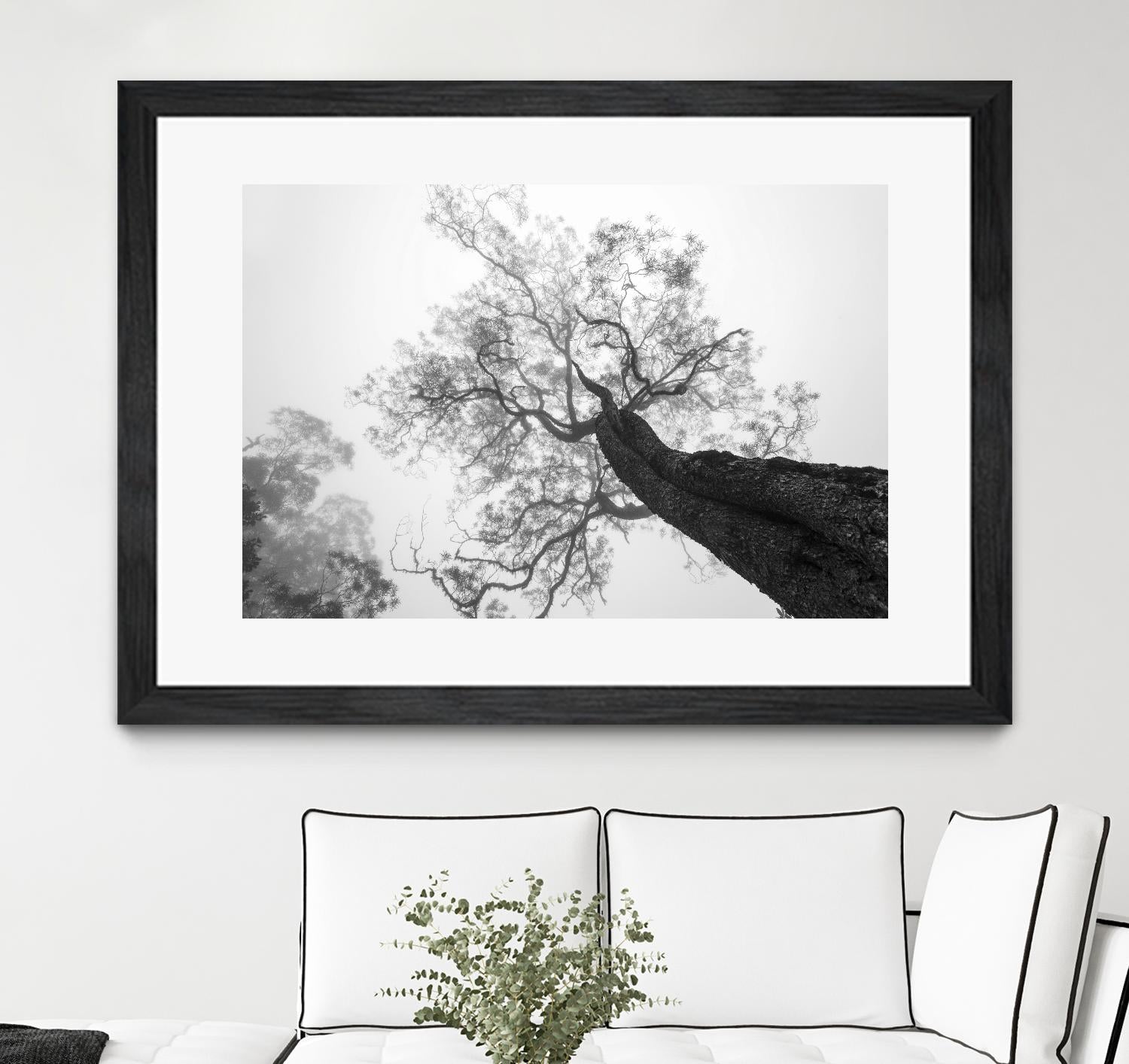 Wrobel - Between Heaven and Earth by 1X on GIANT ART - black trees