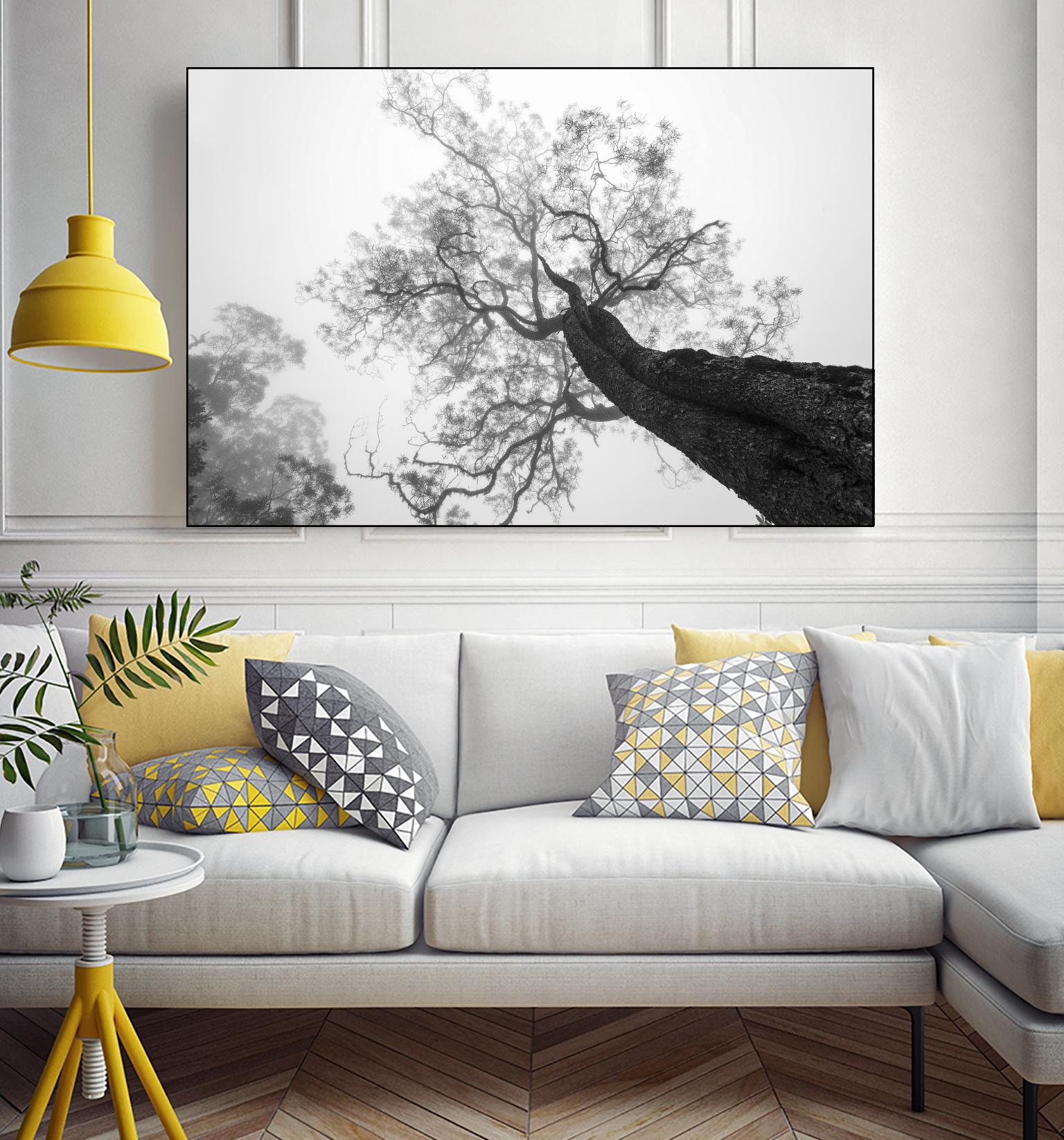 Wrobel - Between Heaven and Earth by 1X on GIANT ART - black trees