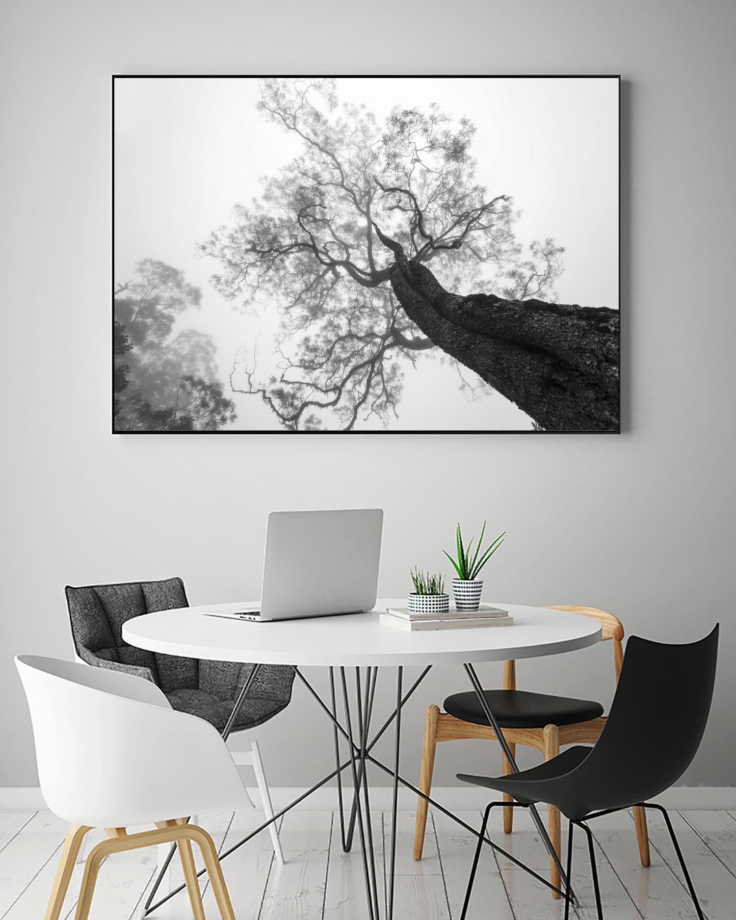 Wrobel - Between Heaven and Earth by 1X on GIANT ART - black trees