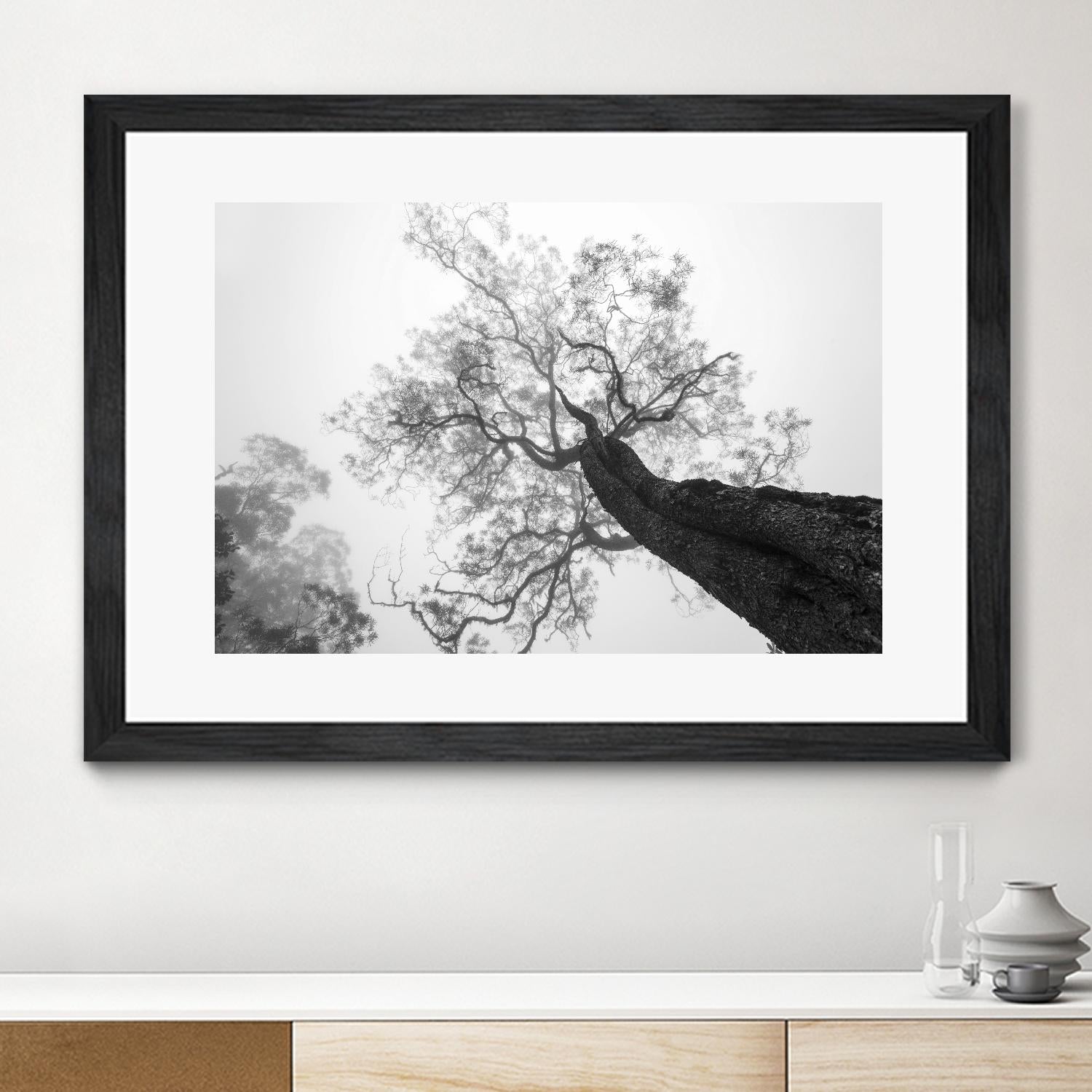 Wrobel - Between Heaven and Earth by 1X on GIANT ART - black trees