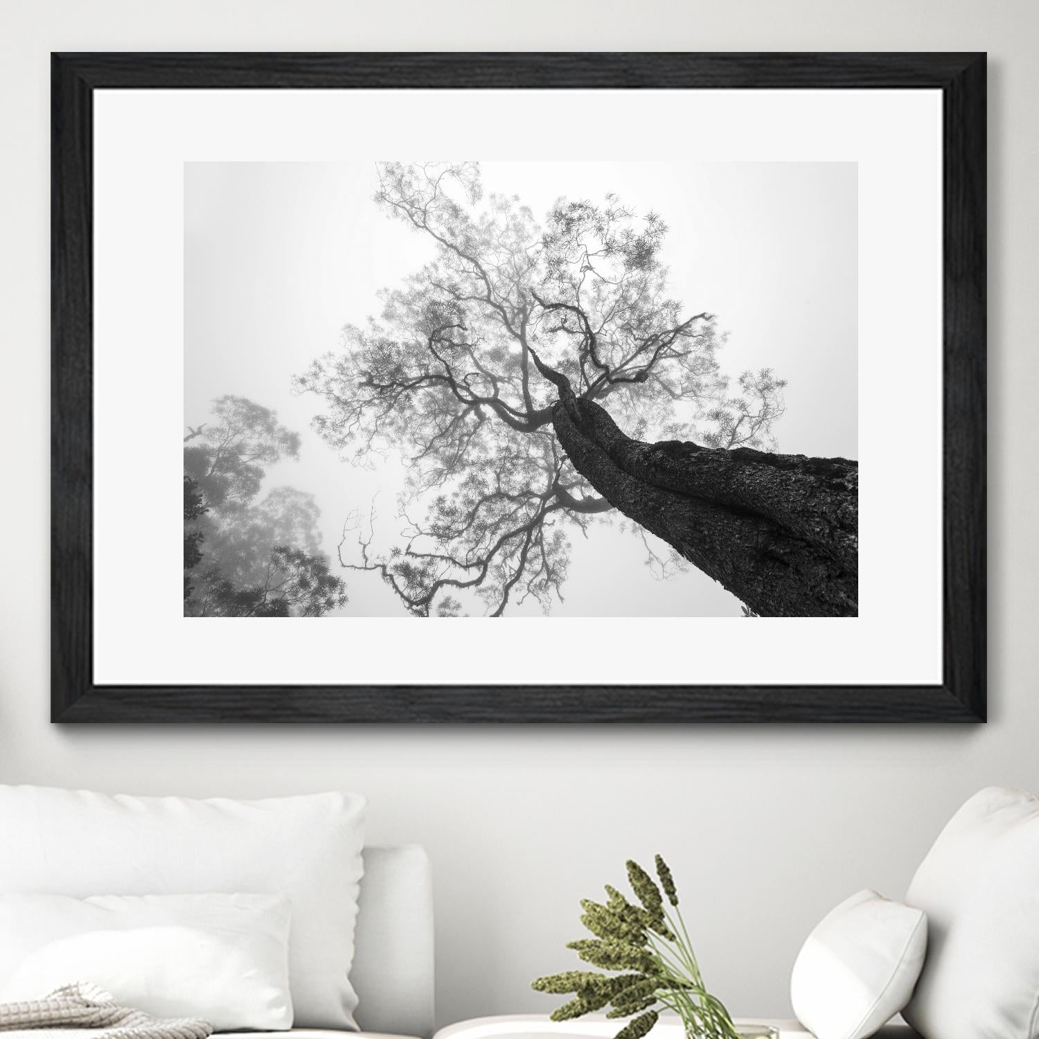 Wrobel - Between Heaven and Earth by 1X on GIANT ART - black trees