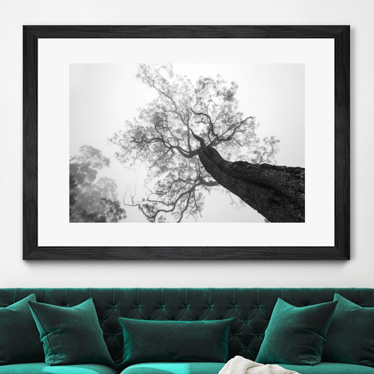 Wrobel - Between Heaven and Earth by 1X on GIANT ART - black trees