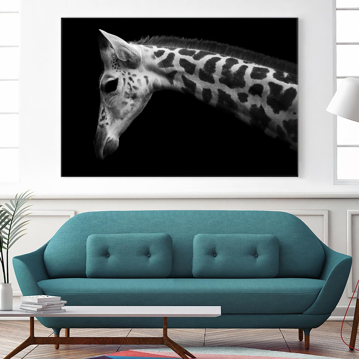 Williams - Calf by 1X on GIANT ART - white animals