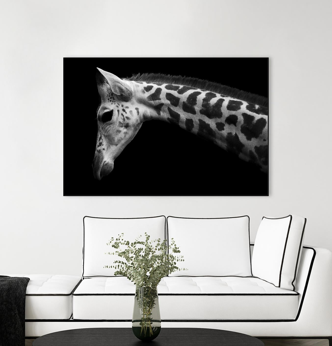 Williams - Calf by 1X on GIANT ART - white animals