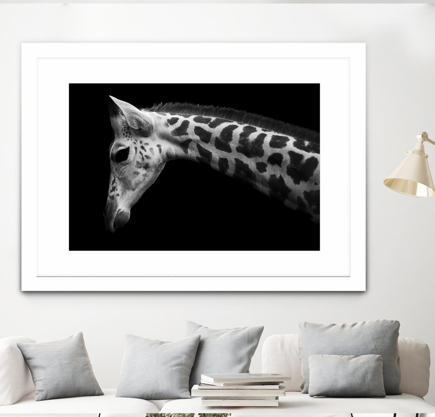 Williams - Calf by 1X on GIANT ART - white animals