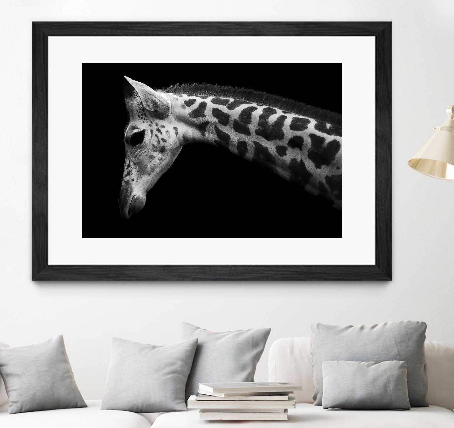 Williams - Calf by 1X on GIANT ART - white animals