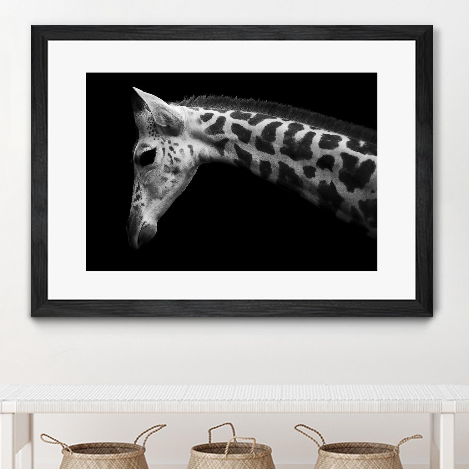 Williams - Calf by 1X on GIANT ART - white animals